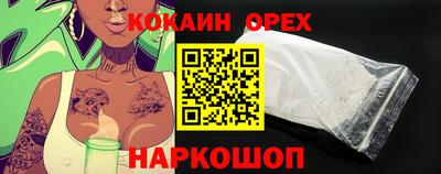 шишки Аргун