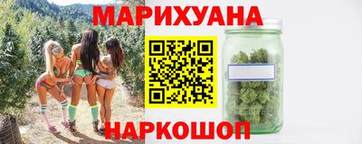 шишки Аргун
