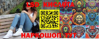 шишки Аргун
