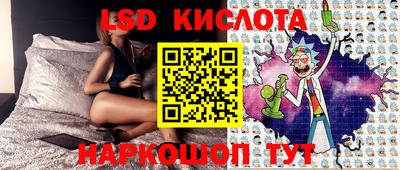 шишки Аргун