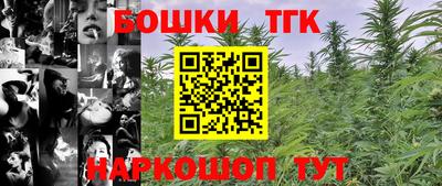 шишки Аргун