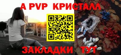 шишки Аргун
