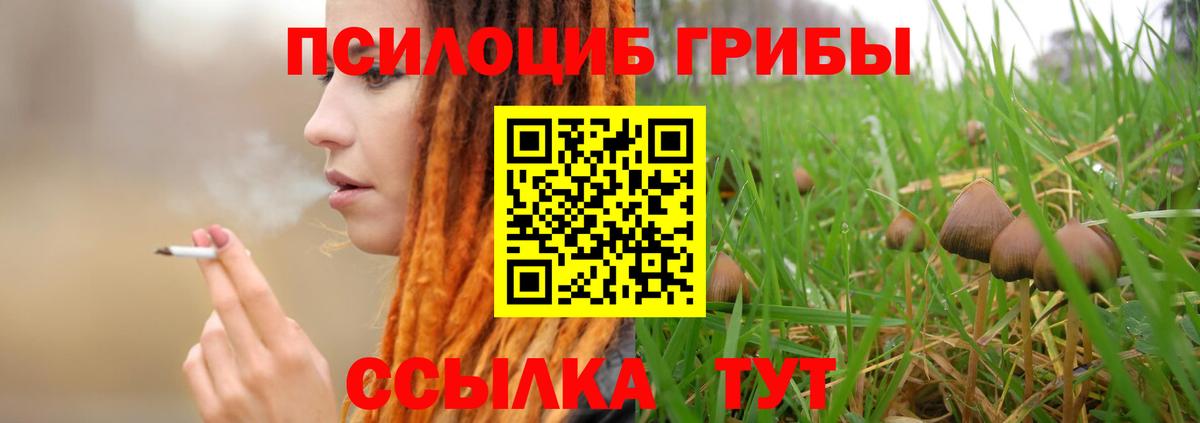 Псилоцибиновые грибы Cubensis  Вход с VPN  Псилоцибиновые грибы Psilocybe  Богданович 