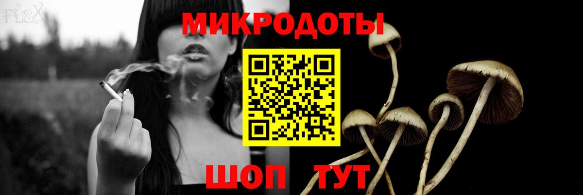 Псилоцибиновые грибы ЛСД Богданович